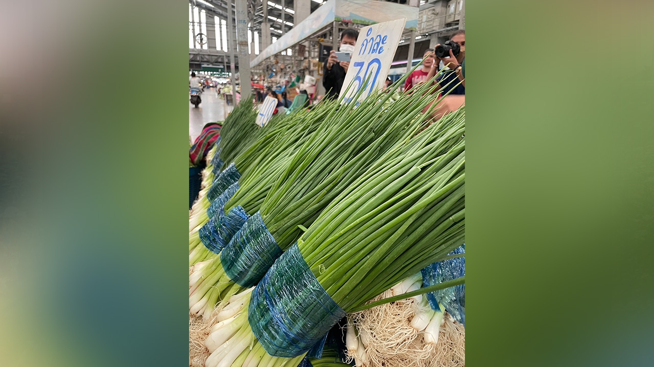 ยืนยัน "แมนโคเซบ" คราบสีฟ้าที่ใบต้นหอม ตลาดสี่มุมเมือง ไม่เป็นอันตราย