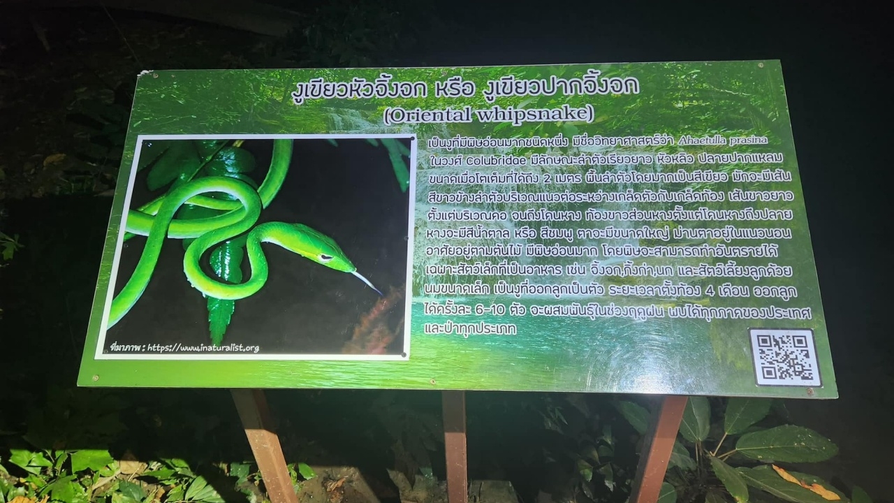 แก้ไขแล้ว ภาพประกอบป้าย "งูเขียวหัวจิ้งจก" น้ำตกเอราวัณ พร้อมขอบคุณทุกคนที่ทักท้วง