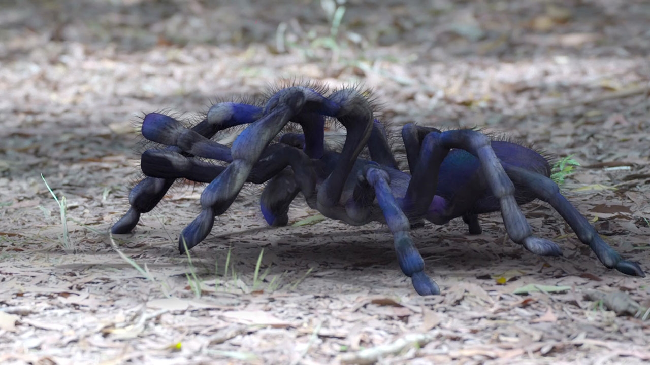 "ไต้ฝุ่น-เทียน-พลอย" เผชิญหน้าฝูงบึ้งยักษ์ จ้องกลืนกิน ในละคร ตะนาวศรี EP.8