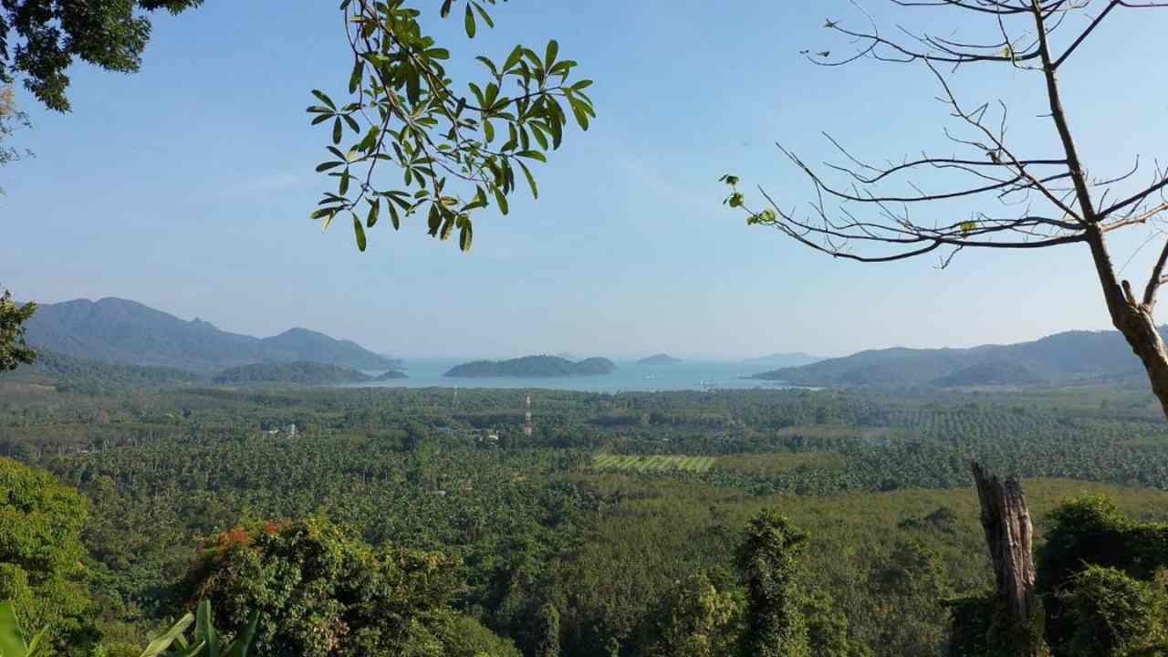 ผู้จัดวิ่งเทรลเกาะช้าง ขอไม่แจงเหตุผล หวั่นเกิดความขัดแย้ง เปิดช่องทางเยียวยานักวิ่ง