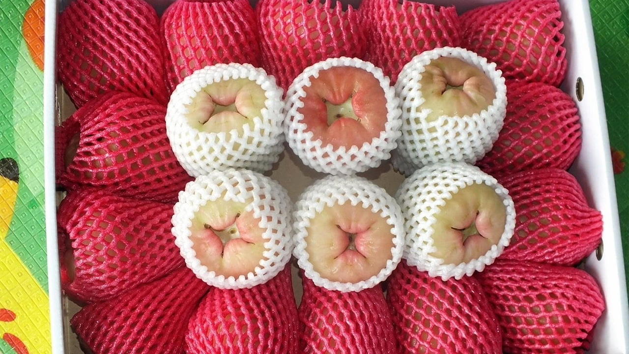 ชมพู่เมืองเพชร ประยุกต์สารพัดเมนู