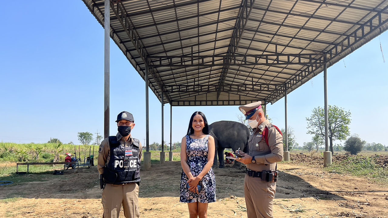 โซเชียลวิจารณ์ยับ สาวสองไลฟ์สดขายอาหารช้าง แต่ทำท่าอนาจารไม่เหมาะสม