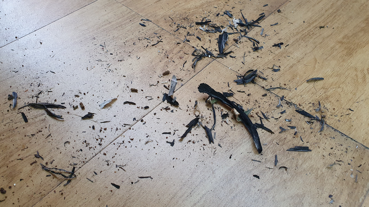 คนสุพรรณโวยชาวไร่เผาอ้อย ฝุ่นดำปลิวว่อน ค่า PM 2.5 พุ่งสูงลิ่ว