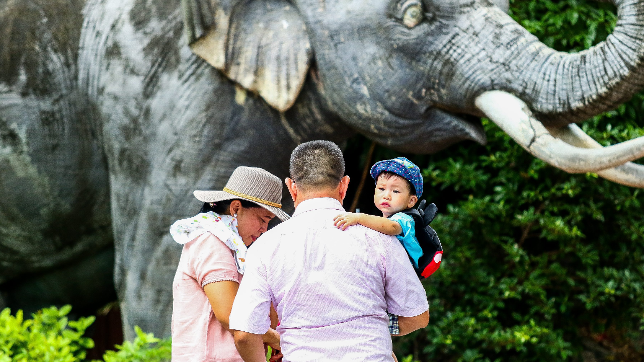 รัฐบาลชวนเที่ยวงานวันเด็กสวนสัตว์ 6 แห่ง เด็กสูงไม่เกิน 135 ซม. เข้าฟรี