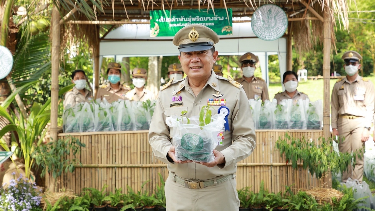 กสก. เปิดอัมพวา ชวนเที่ยวงานเฉลิมพระเกียรติ ร.2 พร้อมแจกพริกบางช้าง