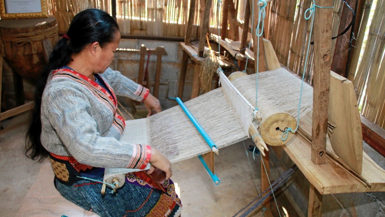 วช.จับมือ 3 มหาวิทยาลัยเหนือ ต่อยอดนวัตกรรม..ผ้าใยกัญชง