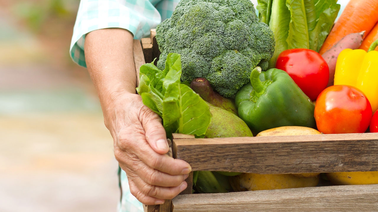 เกษตรกรเฮลั่น! ราคาพืชผลดี รัฐยังคุมเข้มหวั่นถูกเอาเปรียบ