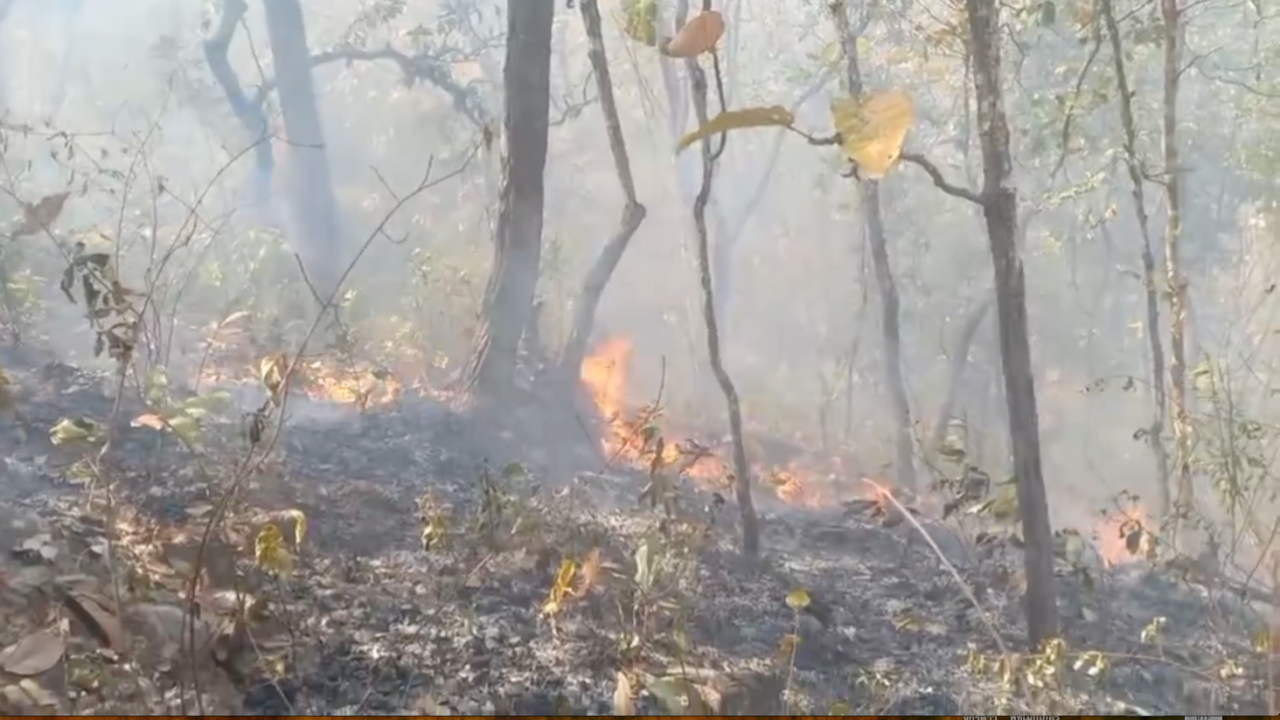 ไฟป่า จ.ตาก ลามหนัก หลายพื้นที่ถูกลอบเผา จนท.ต้องระดมกำลังเข้าควบคุม