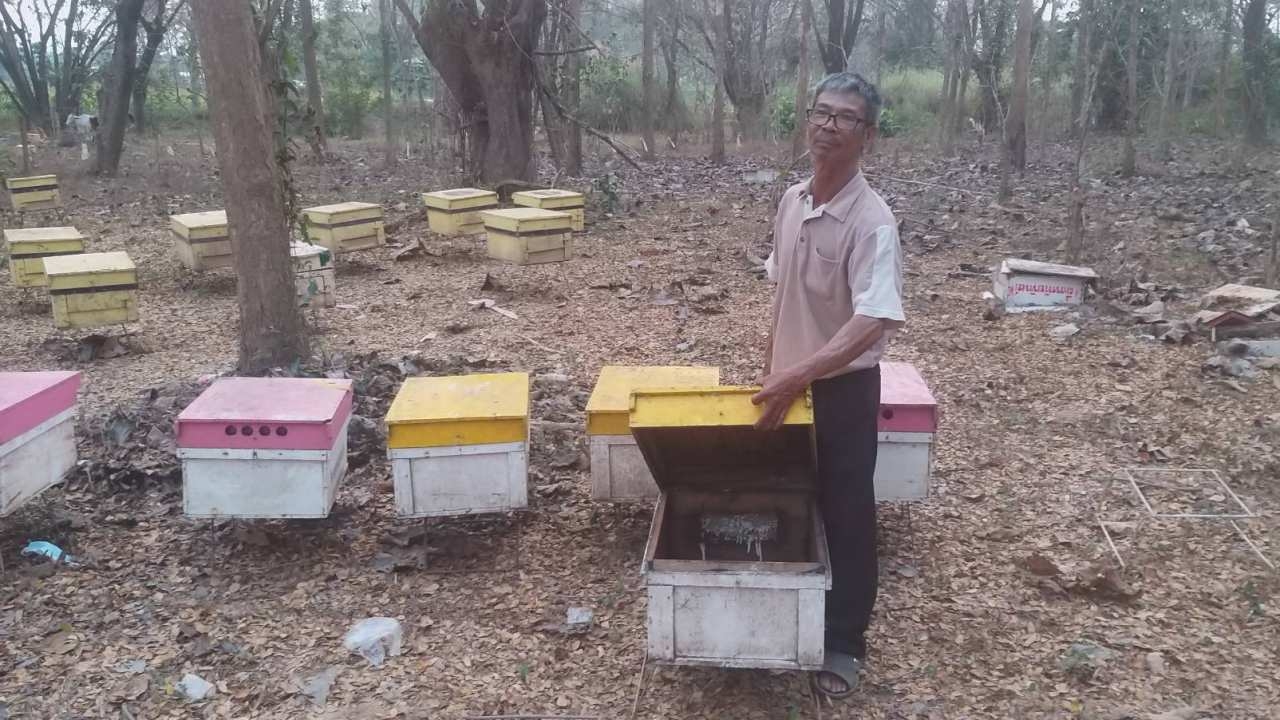 อุทาหรณ์คนเลี้ยงผึ้ง โจรแพร่ยกเค้ากล่องรังผึ้ง-คอนน้ำผึ้ง ทำเสียหายนับแสนบาท