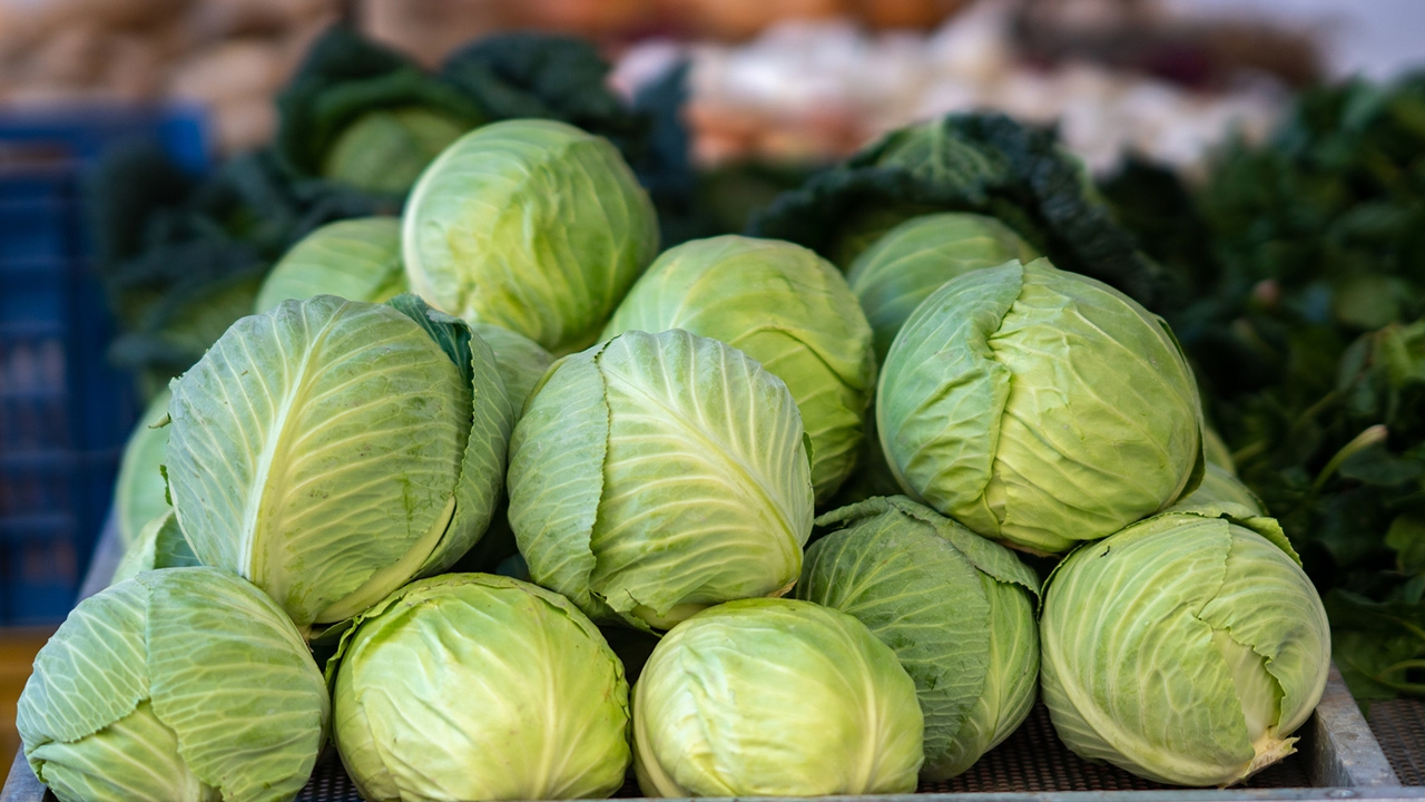 ยังไม่พบพิรุธผักจากจีน นำเข้าปริมาณสูงผิดปกติ