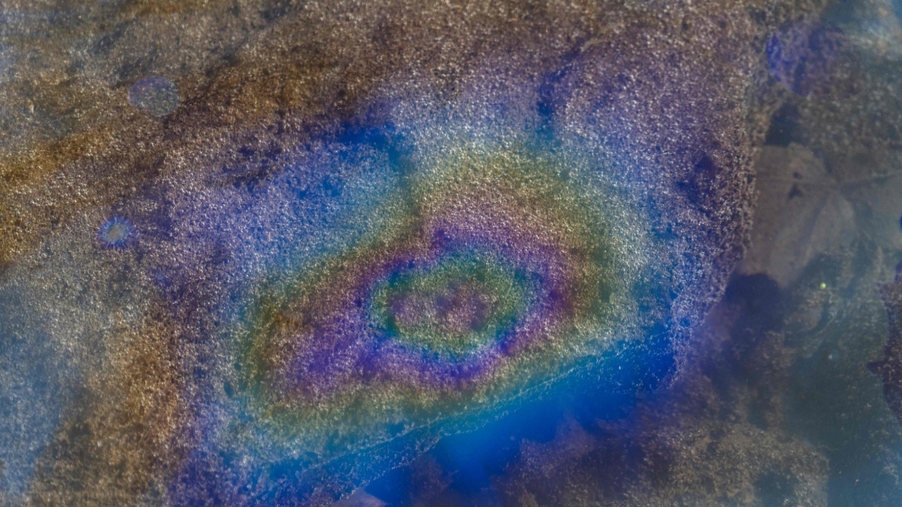 รถไฟสารเคมีตกรางในสหรัฐฯ คร่าชีวิตสัตว์เกือบ 45,000 ชนิดแล้ว