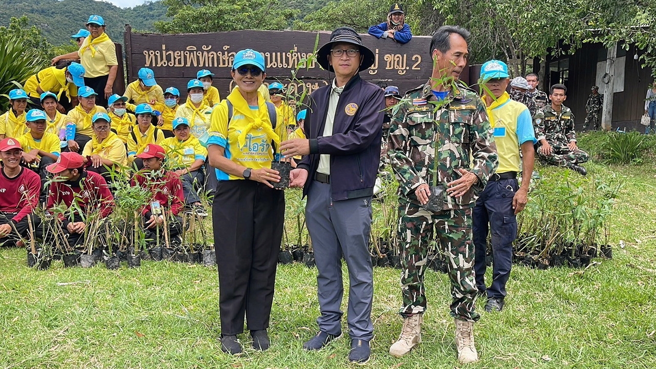ปลูกไผ่หนามป้องกัน “สัตว์ป่า”