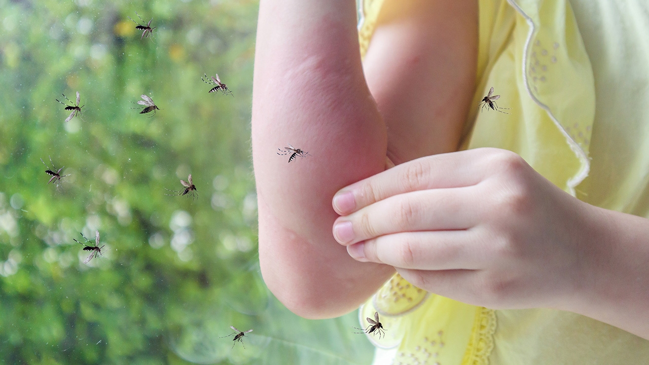 เปิดแผนปฏิบัติการศูนย์อีโอซีกรมควบคุมโรคสกัด "ไข้เลือดออก" แพร่ระบาด