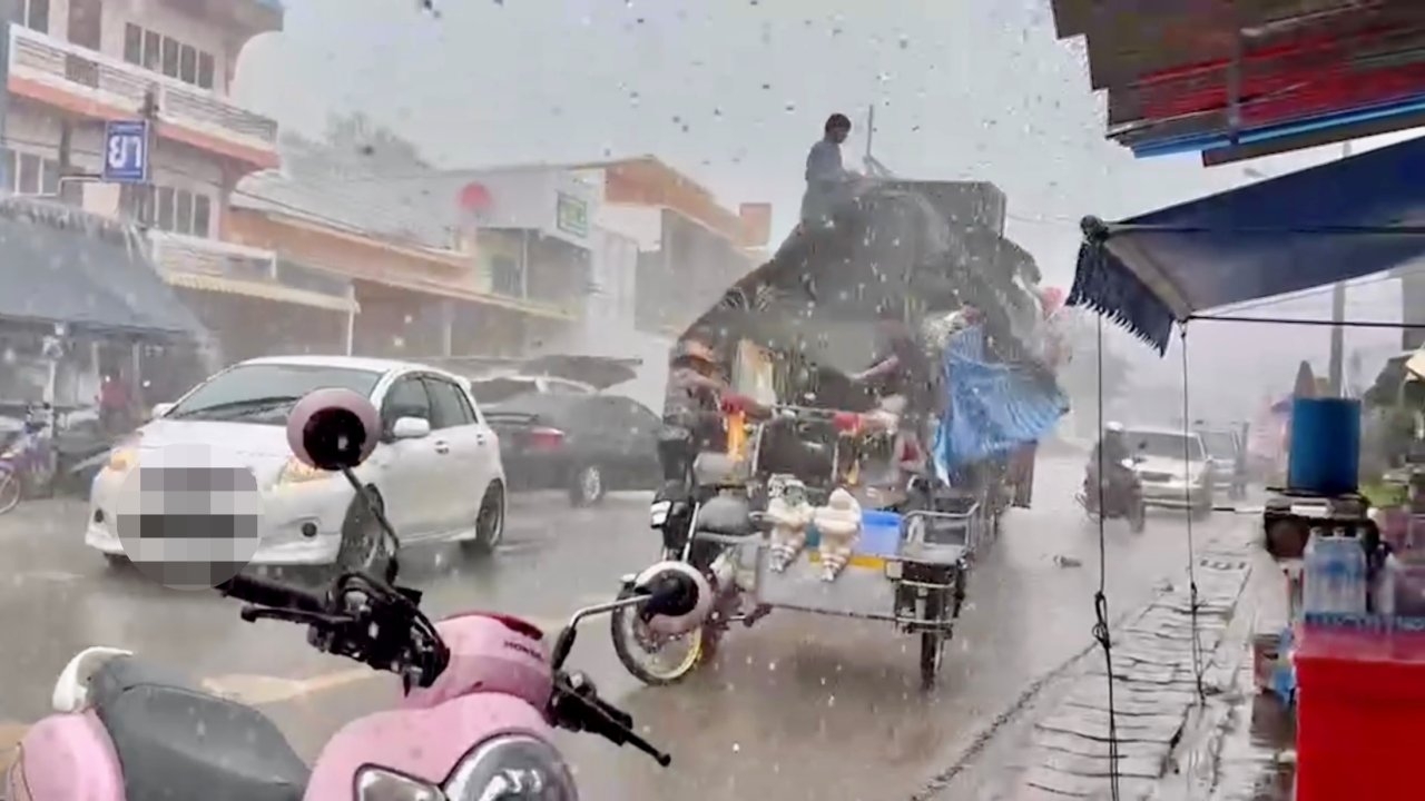 ฝนถล่มตลาดบ้านหนองคอก พ่อค้าแม่ค้าดึงเต็นท์วุ่น ส่วนน้องหมานอนสบายไม่แคร์คน
