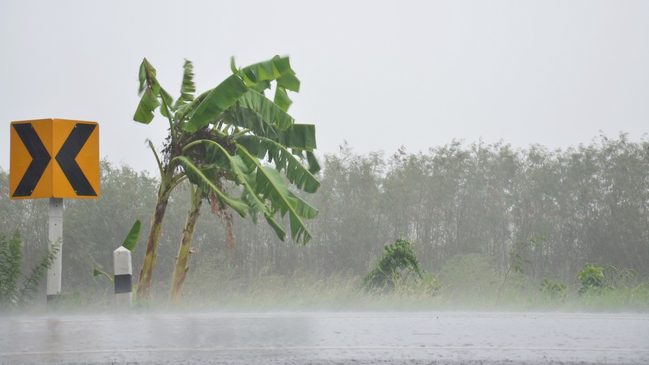 ประกาศฉบับ 23 เตือน "ฝนตกหนัก" บางแห่ง อาจทำให้เกิดน้ำท่วมฉับพลัน