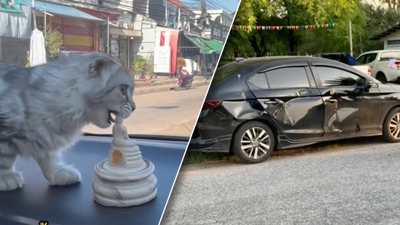 น้องเหมียวลิ้มรสพระธรรม แต่คนรับกรรมกลับเป็นพ่อแม่ รถชนเต็มๆ (คลิป)