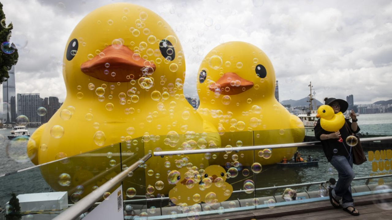 ฮ่องกงเปิดตัว "เป็ดเหลืองยักษ์" คู่แฝด สัญลักษณ์แห่งความสุขที่อ่าววิคตอเรีย