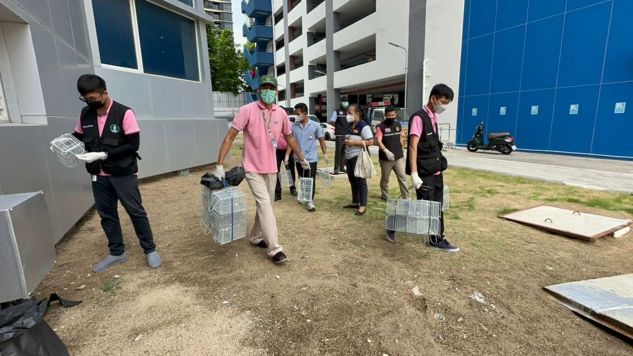 บช.ก. ปฏิบัติการกวาดล้าง กองทัพ "หนู" ในหน่วย วันแรกจับได้แล้ว 61 ตัว