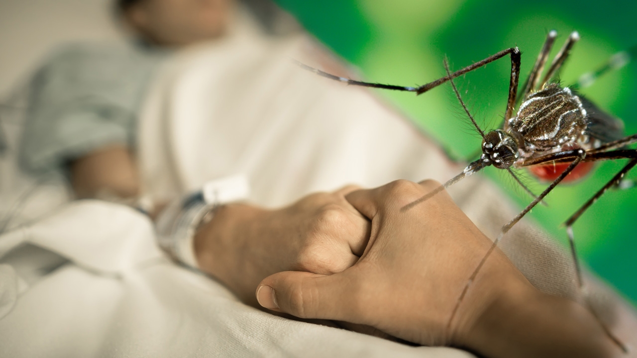 ไข้เลือดออก ภัยร้ายใกล้ตัว ป้องกันได้ ไม่ควรมองข้าม