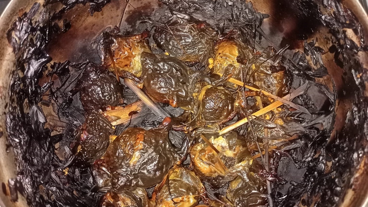 ไวรัลหนุ่มทำเมนู "ต้มอึ่ง" ไหม้หมดหม้อ บอกซื้อมา 1 กิโล แต่ได้กิน 2 ตัว