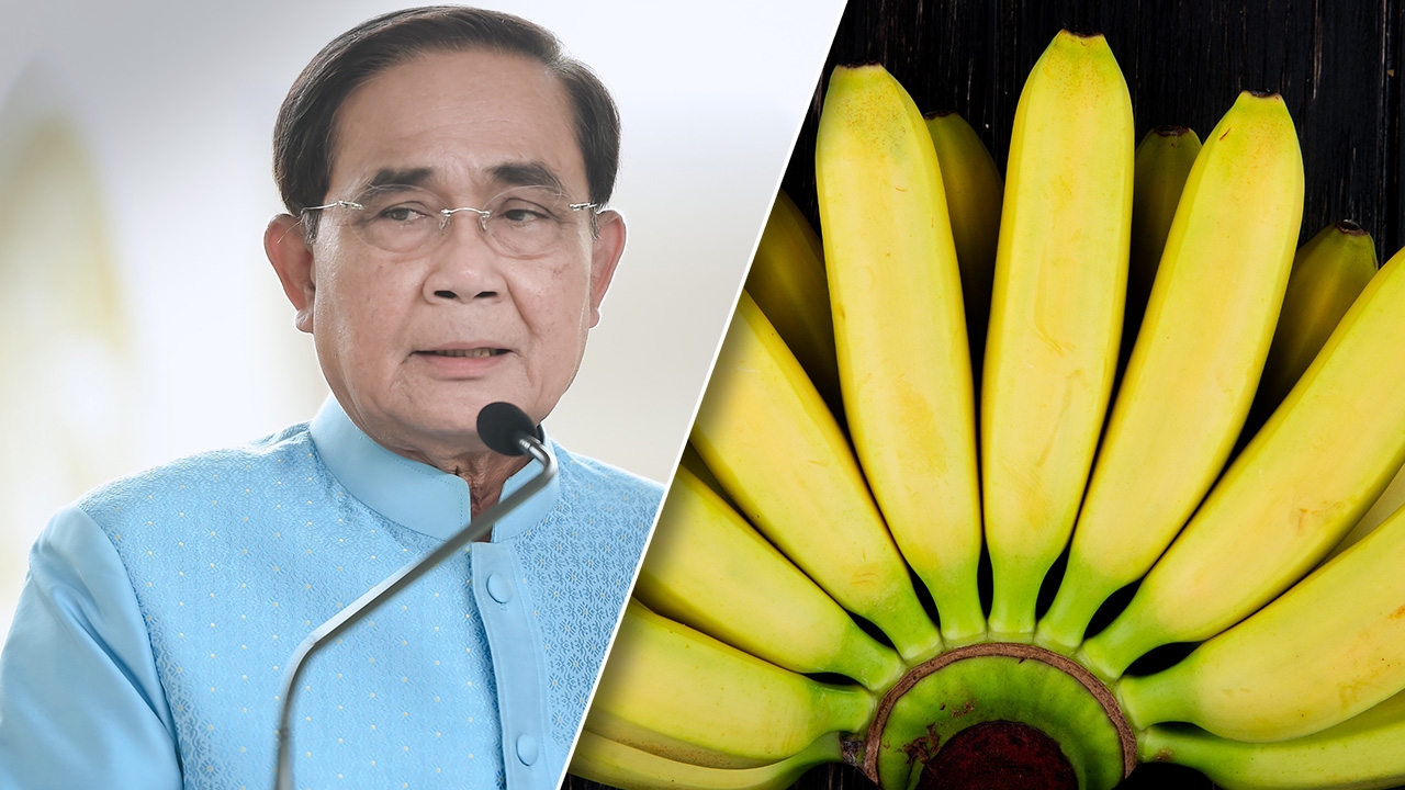 นายกฯ ปลื้ม ญี่ปุ่น สนใจกล้วย-กล้วยแปรรูปไทย สร้างมูลค่าแล้วกว่า 1 พันล้าน