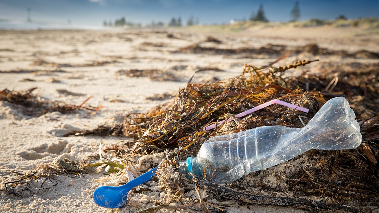 เมืองพัทยาเร่งปลุกจิตสำนึก นักเที่ยวมักง่ายทิ้งขยะ ขวดเครื่องดื่ม เต็มหาด