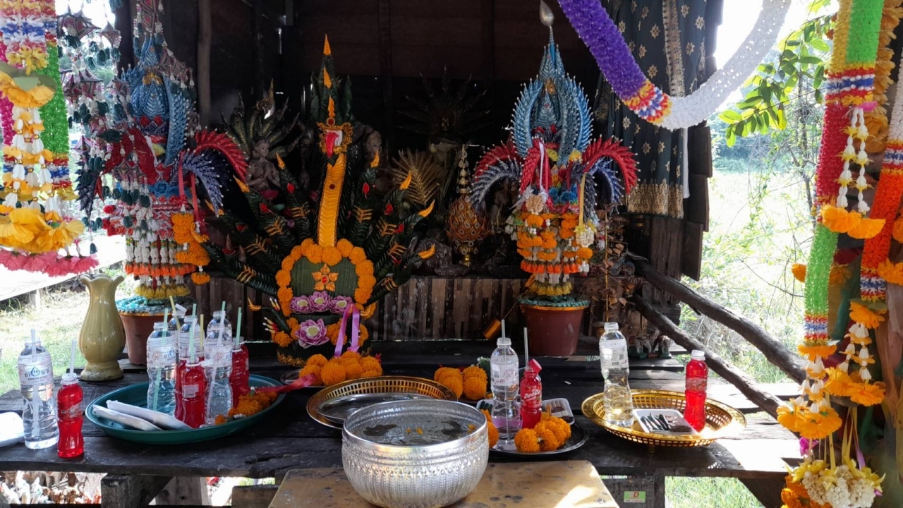 งูเหลือมสองตัว เลื้อยมาอยู่ศาลเก่าพ่อปู่แม่ย่า คำชะโนด ไม่พลาดตีเลขเด็ด 16/6/66