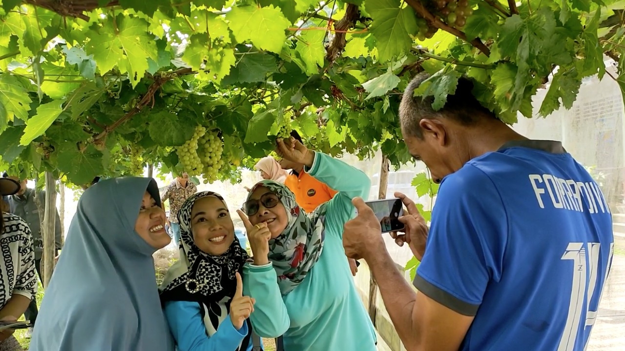 ชาวบ้านสตูลแห่ชมสวนองุ่นโรงเรียนบ้านปากบารา ทดลองปลูกบนดินเค็ม ผลออกเกินคาด