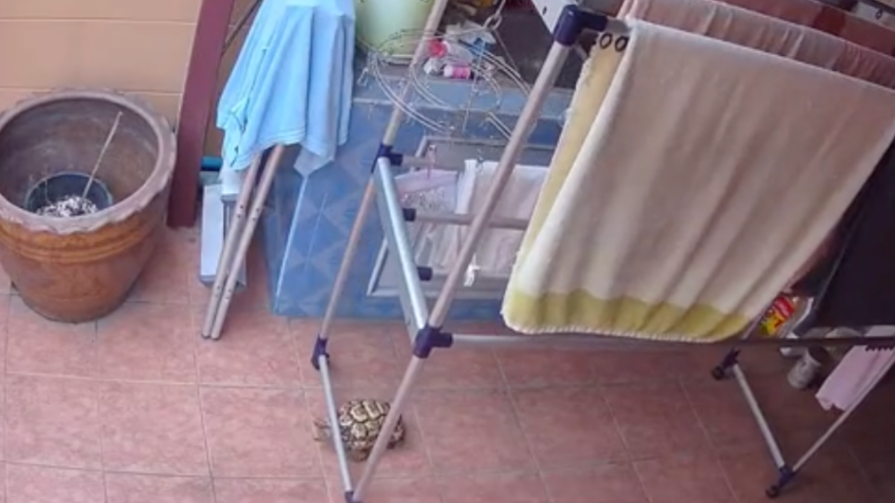 คุณแม่สงสัย ทำไมราวตากผ้าเลื่อนเอง สุดท้ายเห็นคาตา มีตัวการเอาผ้าไปตากตอนฝนจะตก (คลิป)