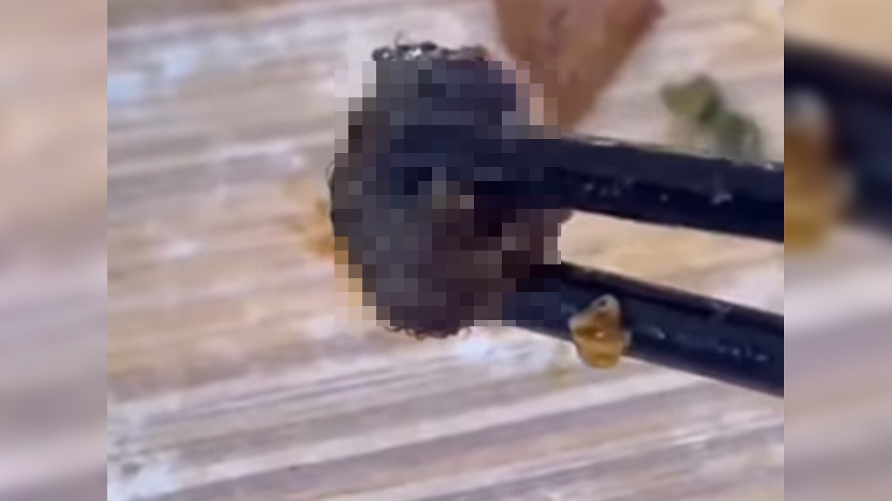 นศ.จีนเจอหัวหนูในถาดข้าวกลางวัน วิทยาลัยอ้างเป็นคอเป็ด เจอสังคมวิจารณ์หนัก (คลิป)