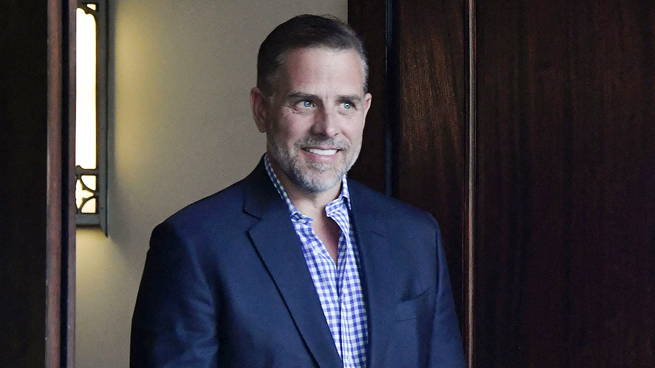 ลูกชายไบเดนรับผิด คดีภาษี - อาวุธปืน