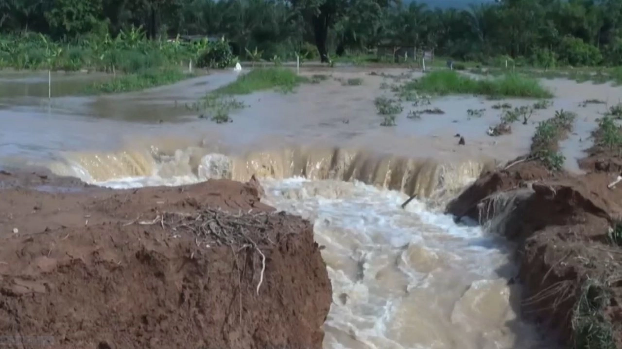 Khao Yai森林被洪水淹没，Nadi地区田地受损，如果未来2天水量不减少，水稻肯定会死掉。