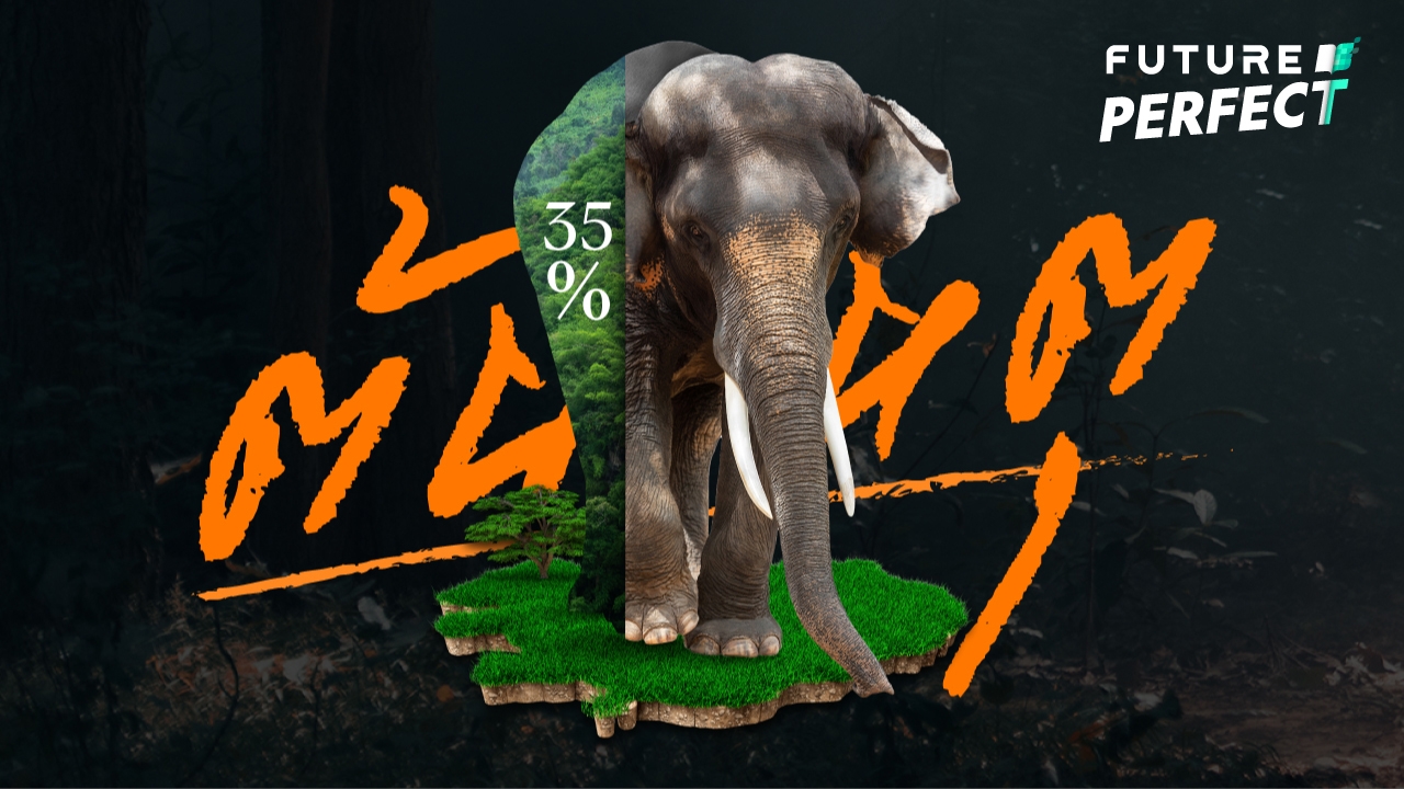 6 ปัจจัย ที่ทำให้ช้างป่าวิวาทมนุษย์ในไทย 