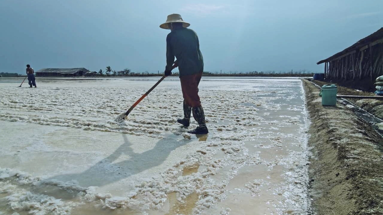 ต้นทุนผลิตเกลือทะเล