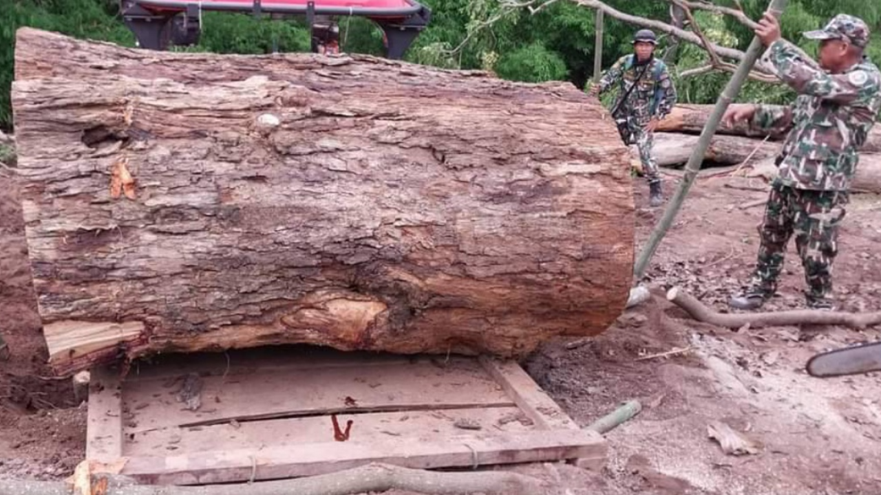 แก๊งตัดไม้เหิมหนัก นอภ.ชาติตระการนำกำลังบุกจับ ยึดรถไถ 6 คัน