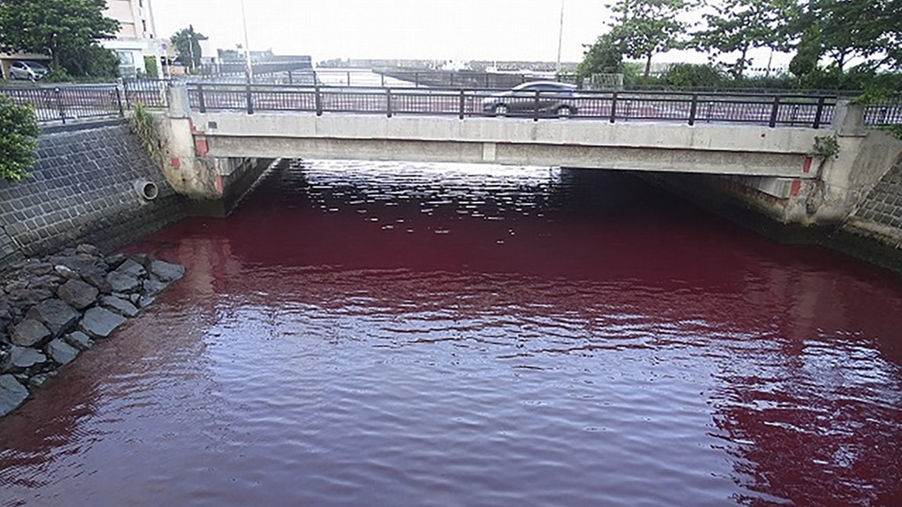 อึ้ง สีรั่วจากโรงงานเบียร์ญี่ปุ่นลงแม่น้ำ ทำท่าเรือโอกินาวะเป็นสีแดงฉาน