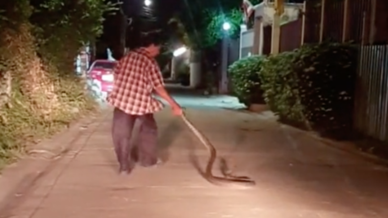 คุณพ่อเอาจริง เตือน "งู" อย่าเลื้อยเข้าบ้าน ไม่ยอมฟัง สุดท้ายโดนจับเหวี่ยง (คลิป)