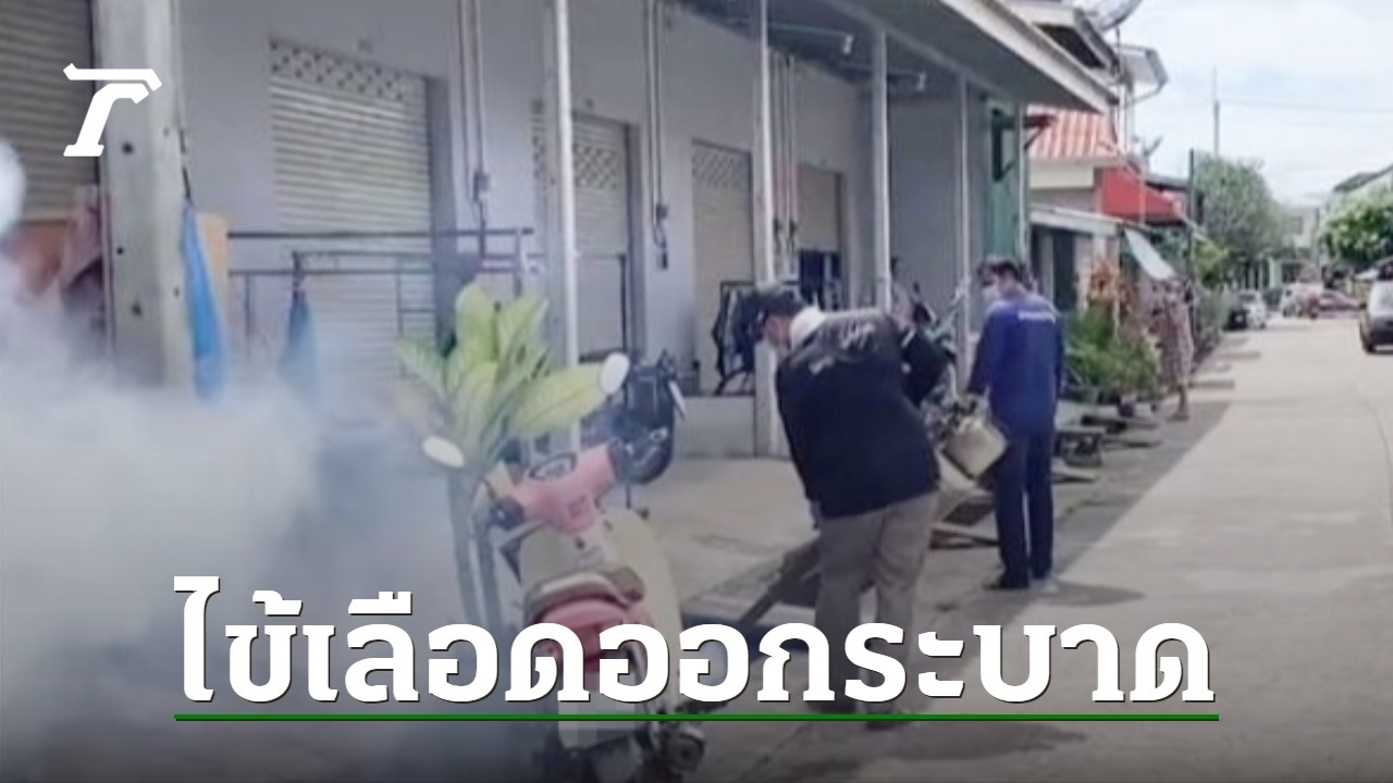 Dengue Fever Outbreak in Khlong Yai District, Trat Province Calls for Public Cooperation