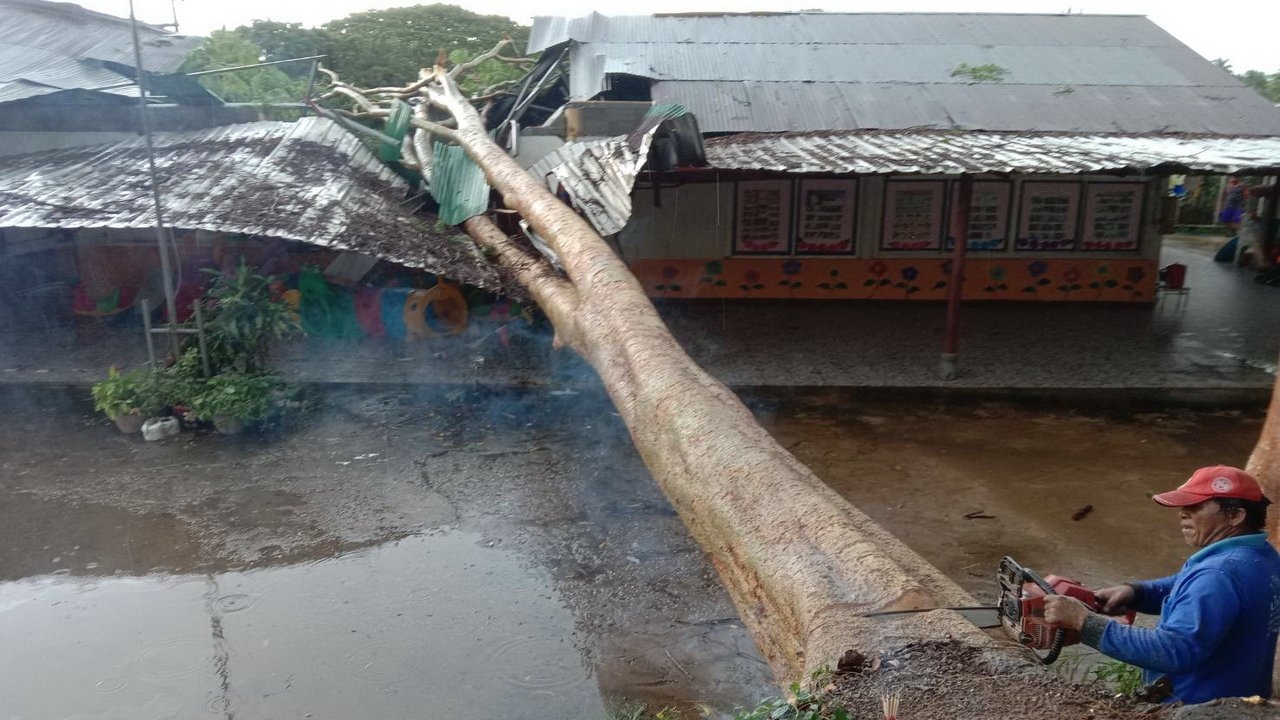 ต้นไม้ใหญ่โค่นทับศูนย์เด็กเล็กบ้านน้อยสนามบิน จ.เลย ครูเจ็บ 1 เด็กปลอดภัย