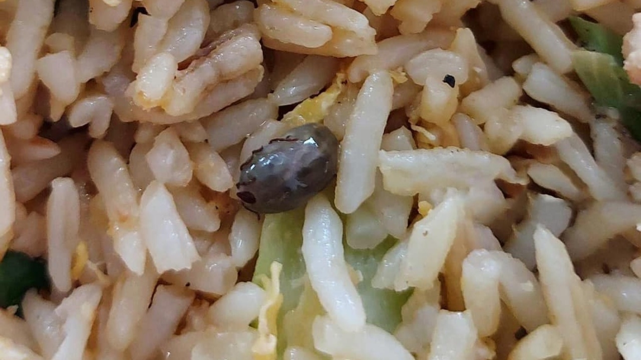 เห็นแล้วสยอง ข้าวผัดสูตรใหม่ แถมสิ่งแปลกปลอมคล้าย "เห็บ" ตัวเป้ง