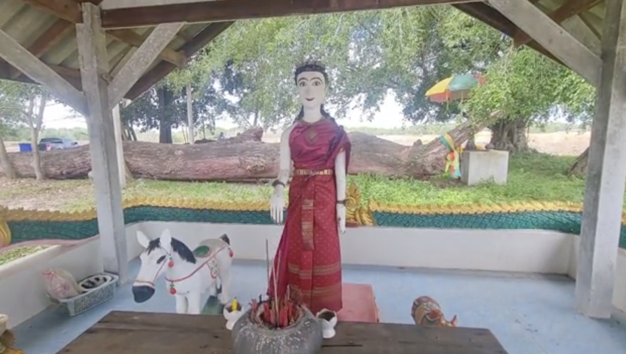 มีคนถูกหวยหลายงวด แห่ส่อง เลขเด็ดงวดนี้ 16/7/66 "แม่ย่าตะเคียน" ไปเสี่ยงโชค