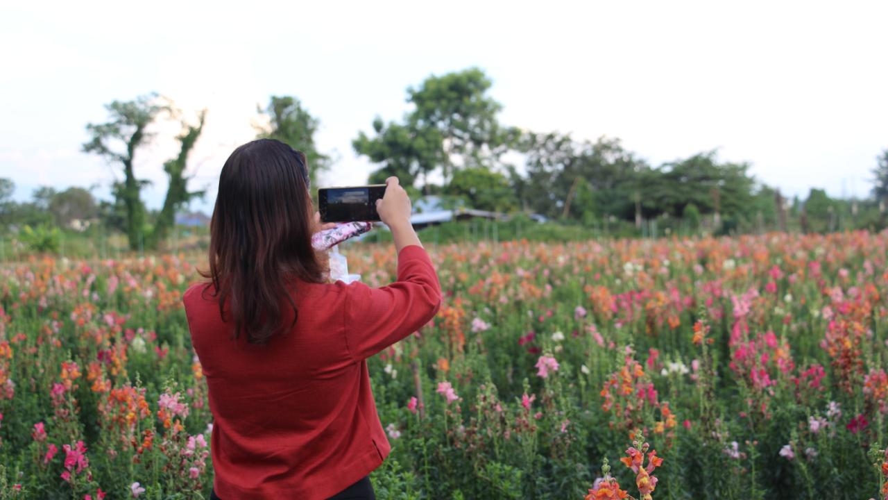 สวนดอกไม้ I Love Flower Farm เชียงใหม่เตรียมเปิดให้เที่ยวชม 12 ต.ค.นี้