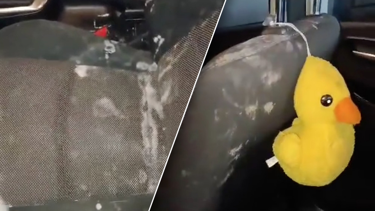 แทบทรุด สาวเล่าอุทาหรณ์ จอดรถทิ้งไว้ 1 เดือน เปิดมาเจอเชื้อราขาวโพลน 