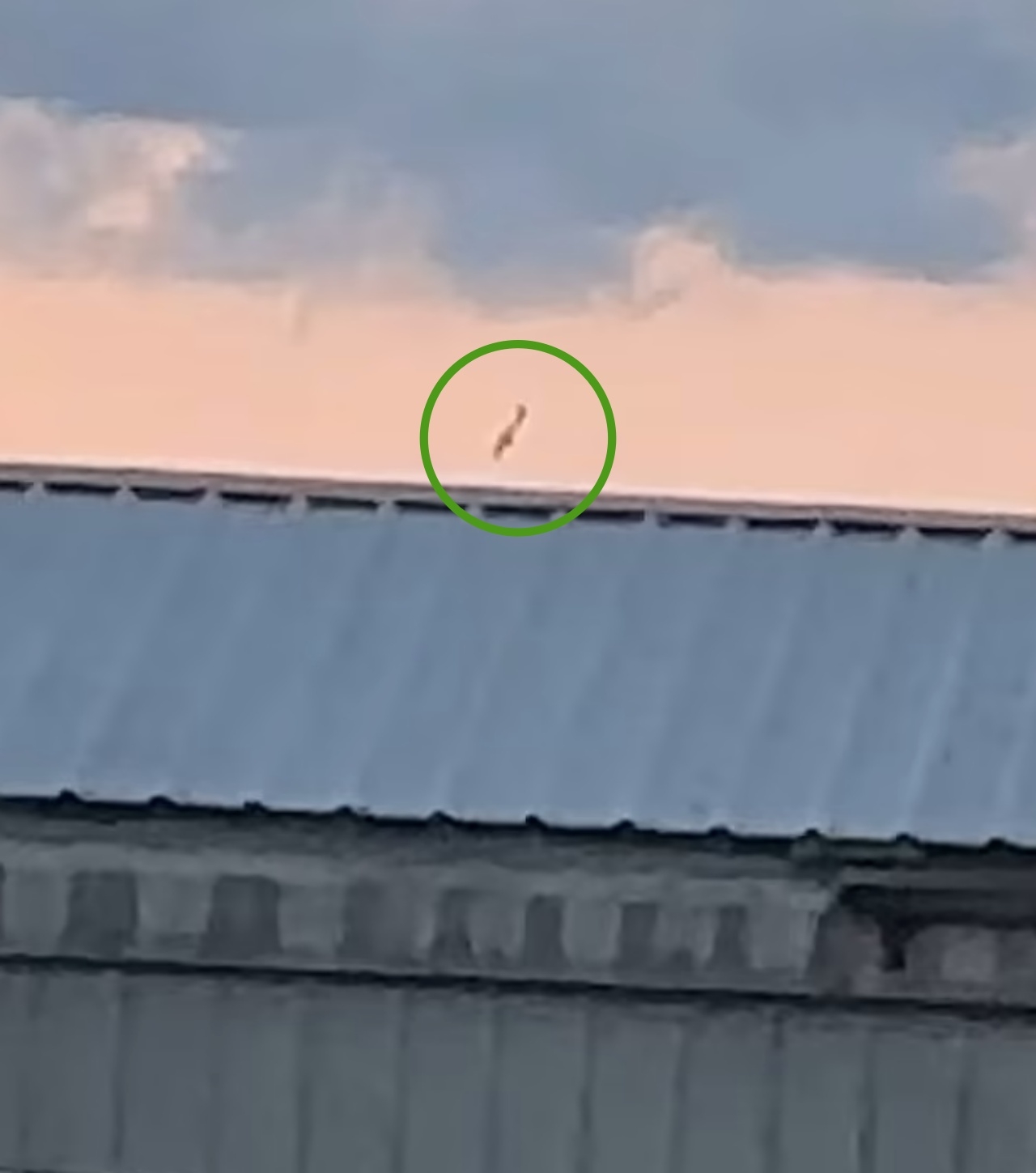 นาทีสะพรึง เครื่องบินเล็กตกในสหรัฐฯ ร่วงจากฟ้า ทะลุหลังคาบ้าน ตาย 1 ศพ (คลิป)