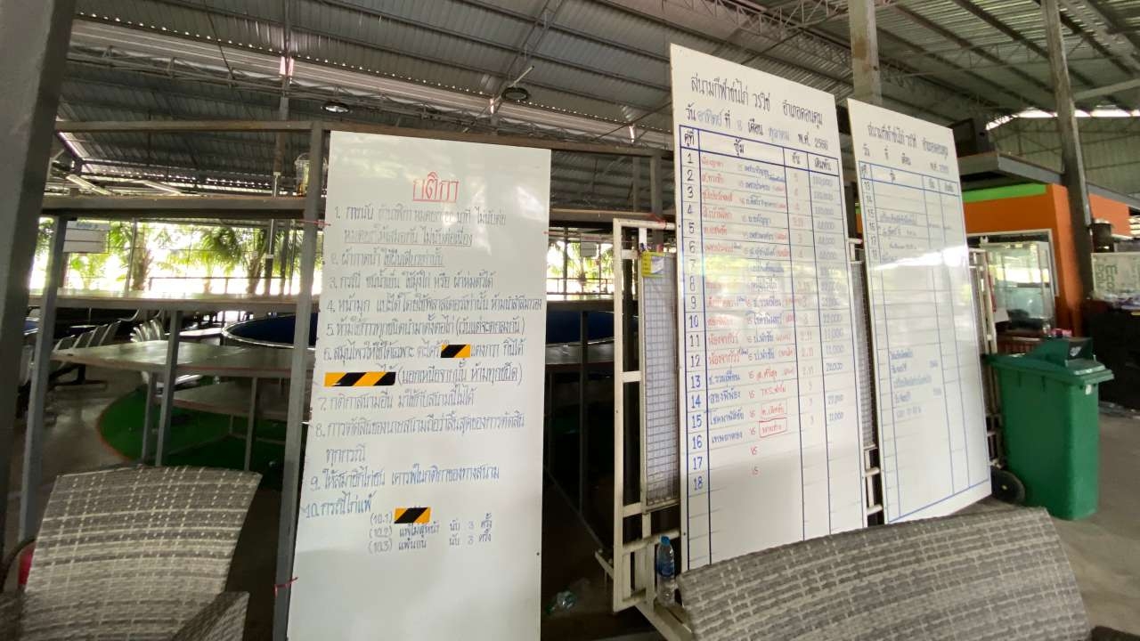 ล่า "ไอ้เบ็น" มือยิงเซียนชนไก่ คาดได้ตัววันนี้ นอภ.สั่งปิดบ่อนไก่ทันที
