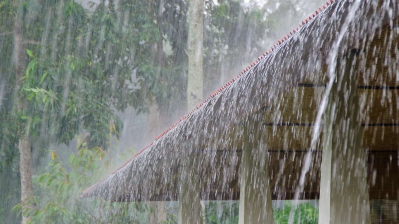 สภาพอากาศ "เหนือ-อีสาน" ฝนตกหนักหวั่นน้ำป่าไหลซ้ำ ใต้ฝนฟ้าคะนองคลื่นสูง