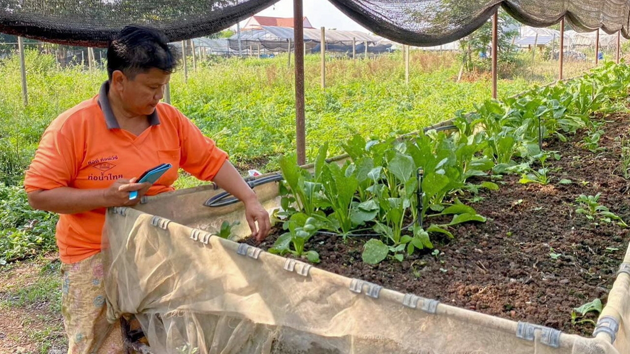 สหกรณ์กสิกรรมไร้สารพิษ ต้นแบบเกษตรอินทรีย์