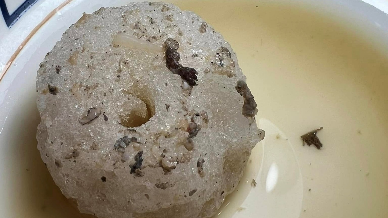 สาวเล่านาทีช็อก เจอ "เศษเนื้อ" สัตว์ปริศนาในน้ำแข็ง ตอนกินกาแฟปั่นหมดแก้ว