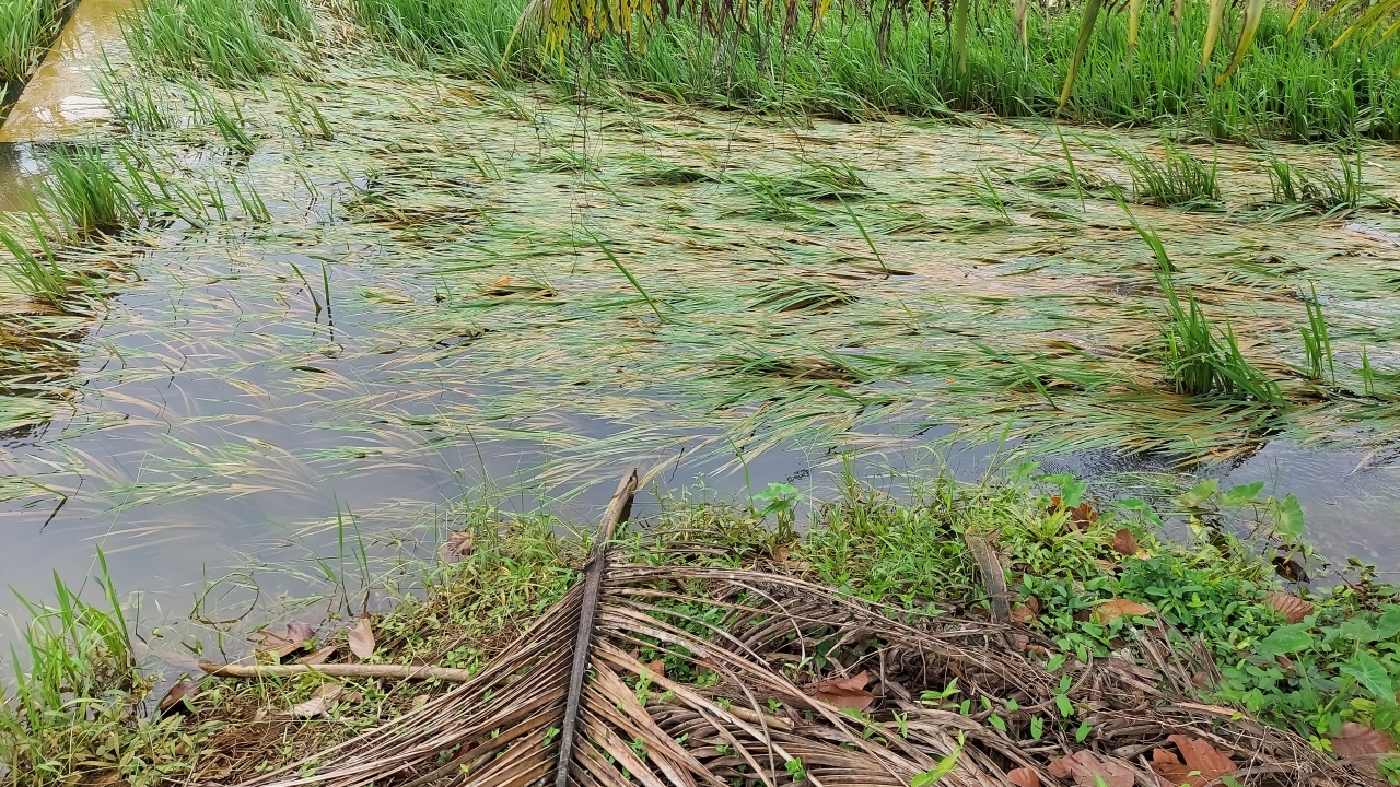 ปภ. เตือนหลายจังหวัด เฝ้าระวังน้ำล้นตลิ่ง น้ำท่วมขัง งดเที่ยวถ้ำ-น้ำตก