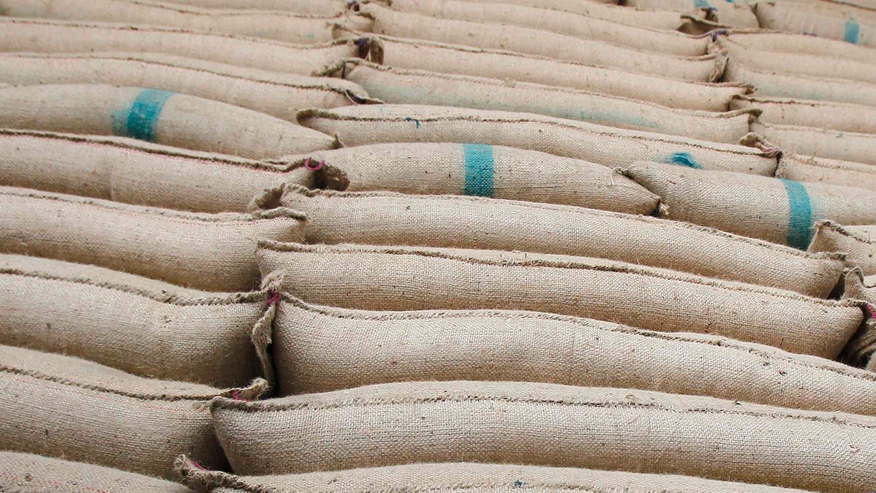 เอาประเทศเป็นเดิมพัน